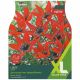 Taylors Bulbs - Tulips Orphanidea Lizzy