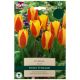 Stresa Tulip Bulb Set - Taylors Bulbs