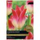 Taylors Bulbs - Whispering Dream