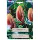 Voodoo Lily Bulb Set