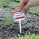 Thompson & Morgan - Garden Essentials - Plastic T Label
