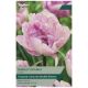 Shirley Double Tulip Bulb Set - Taylors Bulbs