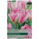 Taylors Bulbs - Peach Blossom - Tulip