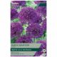 Purple Sensation Allium Bulb Set - Taylors Bulbs