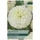 Taylors Bulbs - Free Thought - Dahlia