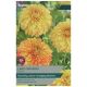 Taylors Bulbs - Lake Ontario - Dahlia