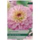 Taylors Bulbs - Luka Johanna - Dahlia 