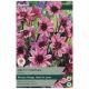 Taylors Bulbs - Pretty Woman - Dahlia
