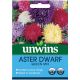 Unwins Aster Dwarf Queen Mix Seed