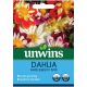 Unwins Dahlia Harlequin Seed Mix