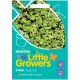 Unwins Little Growers Cress Curly Top Seeds