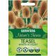 Unwins Natures Haven Teasel Winter Bouquet Seeds