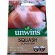 Unwins Squash Uchiki Kuri