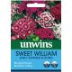 Unwins Sweet William Early Summer Scented Seeds