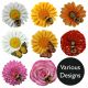 Vivid Arts Hanging Bees / Butterflies - Design Choice