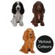 Vivid Arts Real Cocker Spaniel - Design Choice