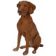 Vivid Arts Real Life Dogs - Hungarian Visla Garden Ornament