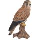 Vivid Arts Real Life Birds - Kestrel