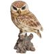 Vivid Arts Real Life Owls - Little Owl Garden Ornament