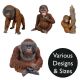 Vivid Arts Real Life Orangutans - Design Choice
