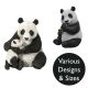 Vivid Arts Real Life Pandas - Design Choice