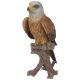 Vivid Arts Real Life Birds - Red Kite