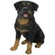 Vivid Arts Real Life Dogs - Rottweiler Garden Ornament
