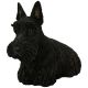 Vivid Arts Real Life Dogs - Scottish Terrier Garden Ornament