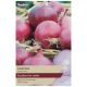 Taylors Bulbs - Karmen - Onion Sets