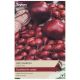 Taylors Bulbs - Red Baron - Onion Sets