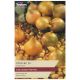 Taylors Bulbs - Stur BC 20 - Onion Sets
