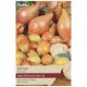 Taylors Grow Your Own 'Biztro' Variety Shallots