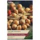 Taylors Bulbs - Golden Gourmet Shallots