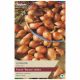 Taylors - Longor Shallot Sets