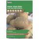 Bambino Maincrop Seed Potato