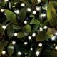 Cole & Bright Warm White LED Solar String Light