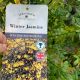 Winter Jasmine - Winter Flowering