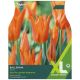 Ballerina Tulip XL Bulb Set - Taylors Bulbs
