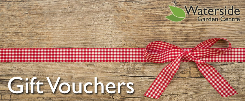 Vouchers Vouchers