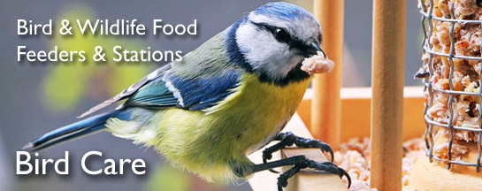 Shop for Bird Food and Nest Boxes