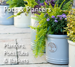 Shop Pots, Planters and Containers for plants of all shapes and sizes