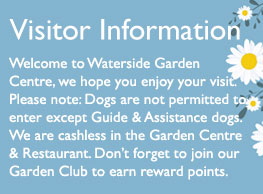 Waterside Visitor Information