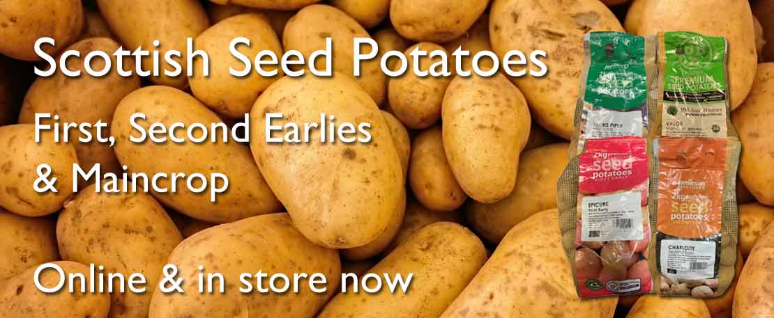 Quality Seed Potatoes available in store and online