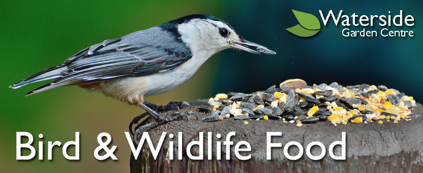 Bird & Wildlife Food