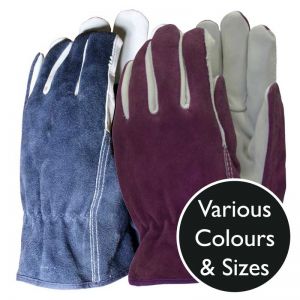 Town and Country TGL104M Premium Comfort Fit Gloves Ladies Medium Mixed Colours 