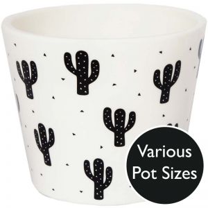 Desert Cacti Black Plant Pot (Size Options)