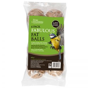Tom Chambers - Fabulous Fat Balls (Pack of 6)