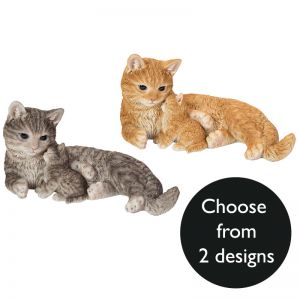 Vivid Arts Mother & Kitten - Design Choice