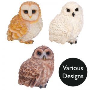 Vivid Arts Real Life Owls - Design Choice
