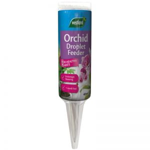 Westland Orchid Droplet Feeder 40 ml
